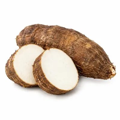 Rohe Yautia-Wurzel