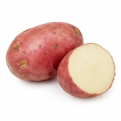 Rohe Rote Kartoffel