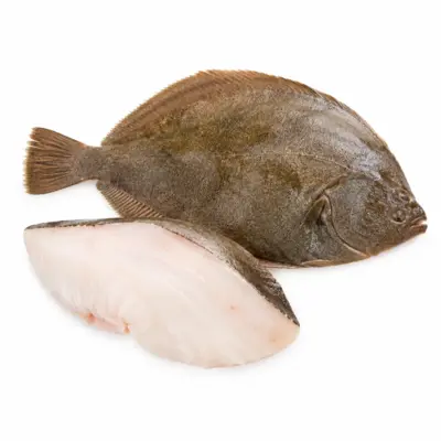 Rodaballo Crudo