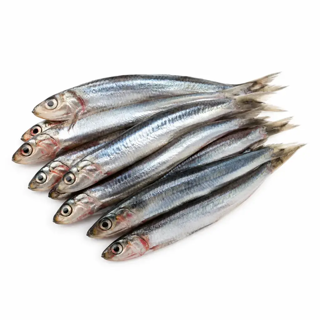 Datos Nutricionales de Anchoas Crudas