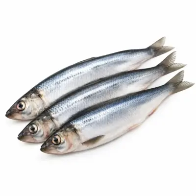 Arenque del Pacífico Crudo