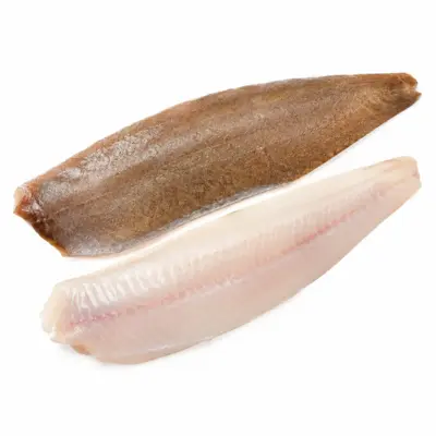 Raw Common Sole