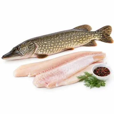 Raw Northern Pike