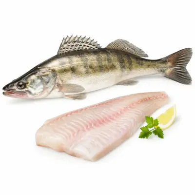 Raw Zander