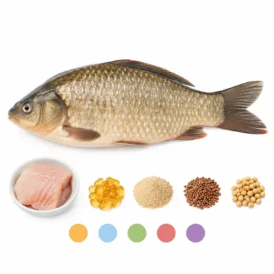 Raw Crucian Carp