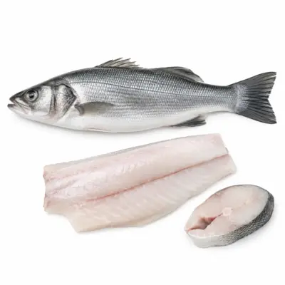 Raw European Sea Bass