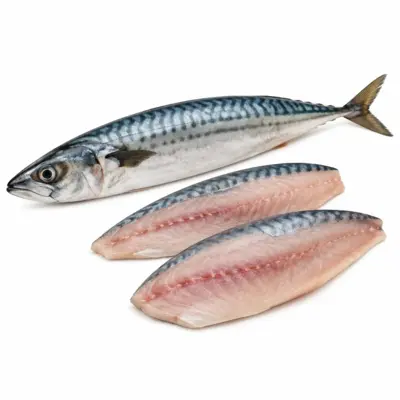 Raw Atlantic Mackerel