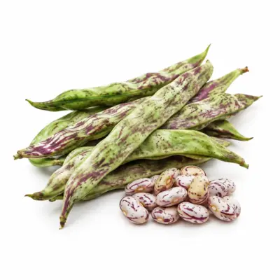 Dragon Tongue Beans
