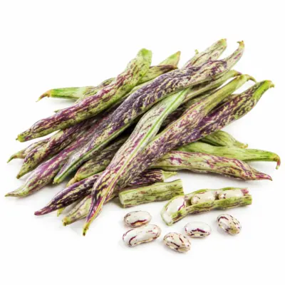 Rattlesnake Pole Beans
