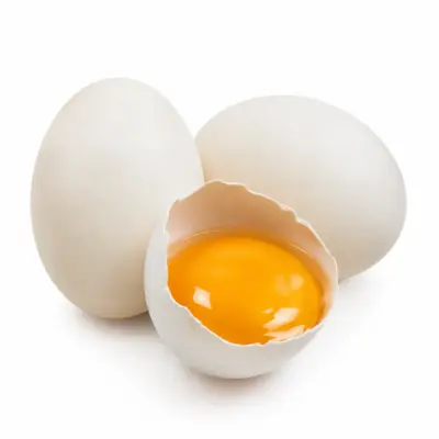 Raw Goose Egg