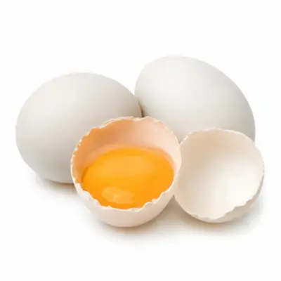 Raw Duck Egg