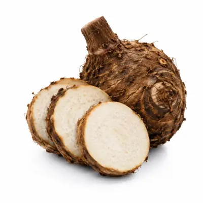 Raw Canna Root