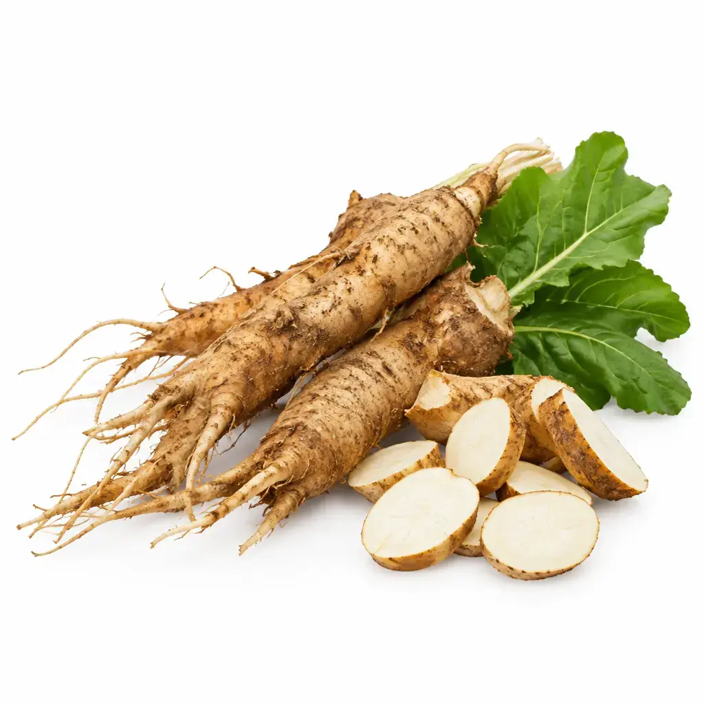 Discover Raw Chicory Root Benefits