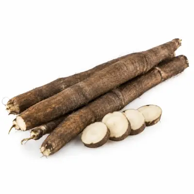 Raw Salsify Root