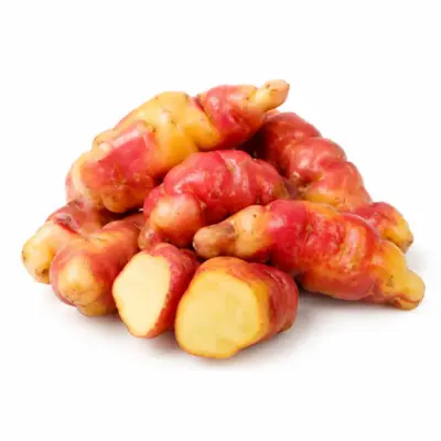 Raw Oca Root