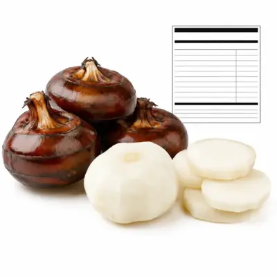 Raw Chinese Water Chestnut