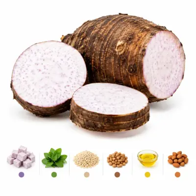 Raw Giant Taro